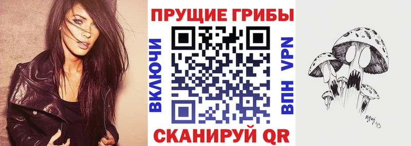 Галлюциногенные грибы Psilocybine cubensis  KRAKEN зеркало  Нефтегорск  купить наркотики цена 